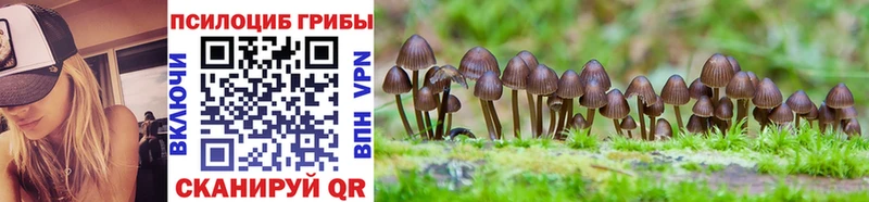 Галлюциногенные грибы Cubensis  omg tor  Октябрьский 